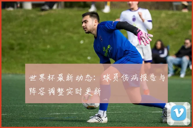 世界杯最新动态：球员伤病报告与阵容调整实时更新