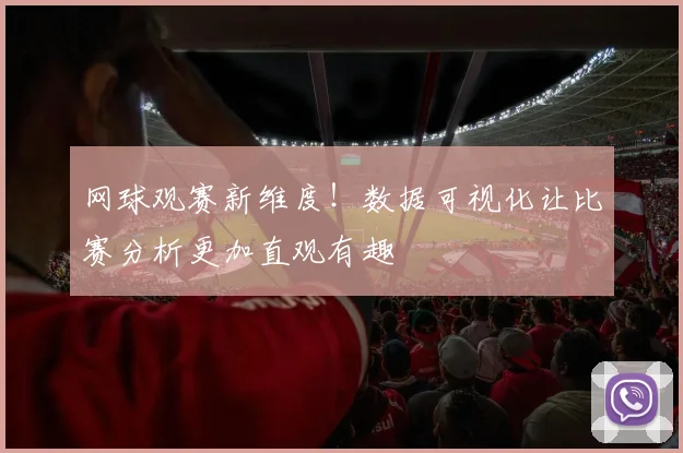 网球观赛新维度!数据可视化让比赛分析更加直观有趣