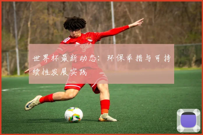 世界杯最新动态：环保举措与可持续性发展实践