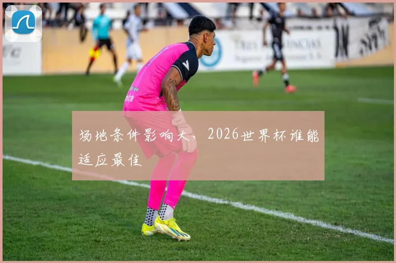场地条件影响大，2026世界杯谁能适应最佳